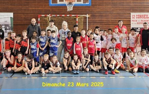 Second Plateau MINIS 2425